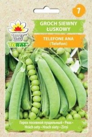 Toraf Nasiona Groch siewny łuskowy Telefone Ana