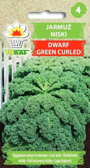 Toraf Nasiona Jarmuż Dwarf Green Curled 1g