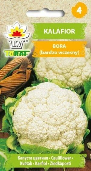 Toraf Nasiona Kalafior Bora 1g