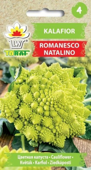 Toraf Nasiona Kalafior Romanesco Natalino 1g