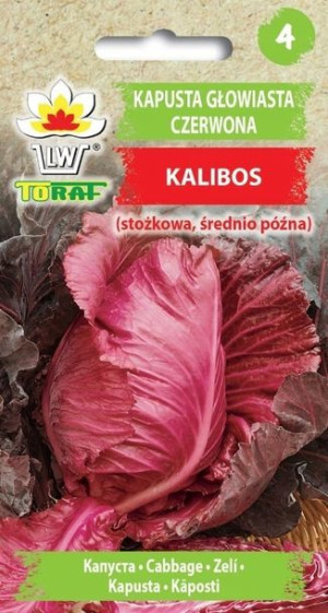 Toraf Nasiona Kapusta czerwona Kalibos 1g