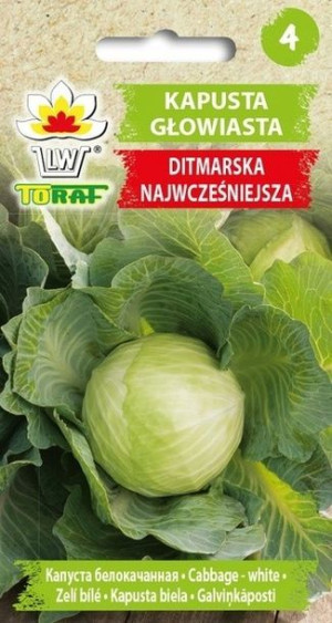 Toraf Nasiona Kapusta głowiasta Ditmarska 2g