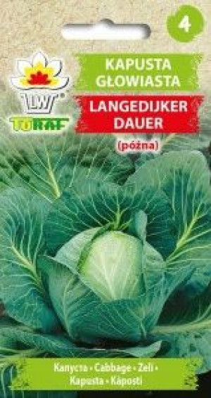Toraf Nasiona Kapusta głowiasta LANGEDIJKER DAUER