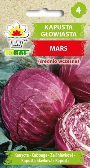 Toraf Nasiona Kapusta głowiasta Mars [2g]