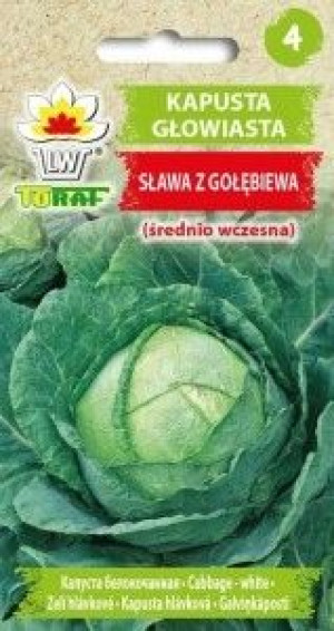 Toraf Nasiona Kapusta głowiasta Sława z Gołębiewa