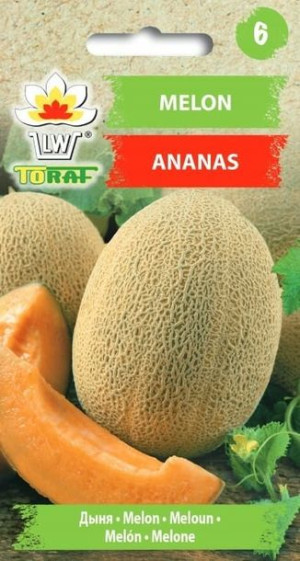 Toraf Nasiona MELON ANANAS 1g