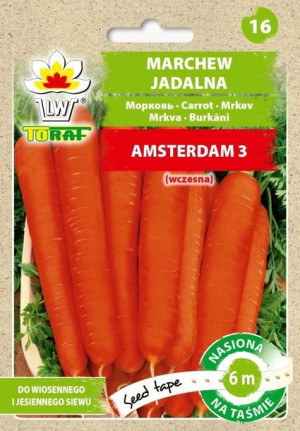 Toraf Nasiona na Taśmie Marchew Amsterdam 3