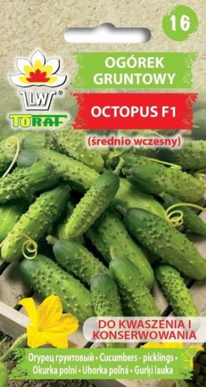 Toraf Nasiona Ogórek gruntowy Octopus F1 1g