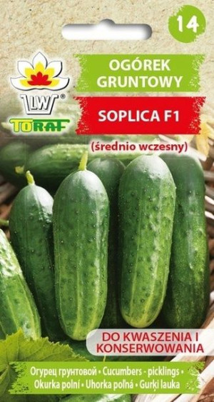 Toraf Nasiona OGÓREK GRUNTOWY SOPLICA F1 5G