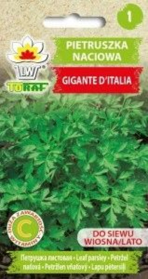 Toraf Nasiona Pietruszka naciowa Gigante D'Italia