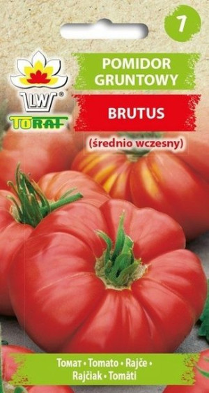 Toraf Nasiona Pomidor gruntowy Brutus 0,5g