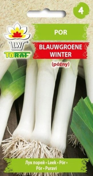 Toraf Nasiona Por Blauwgroene Winter Alaska [1g]