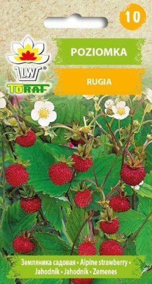 Toraf Nasiona Poziomka Rugia 0,2g