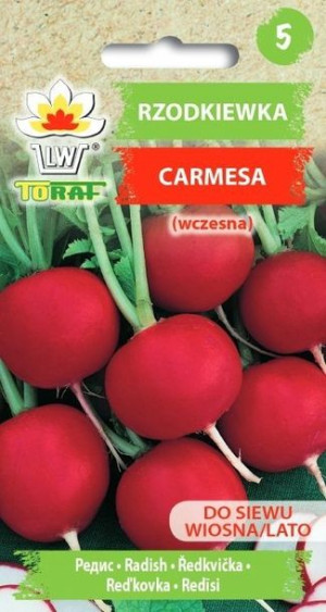 Toraf Nasiona Rzodkiewka Carmesa (wczesna) 10g