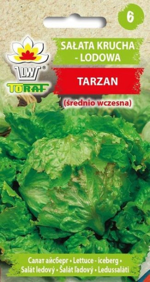 Toraf Nasiona Sałata krucha lodowa TARZAN 1g