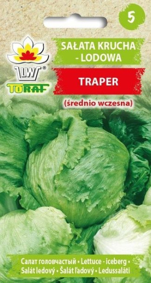 Toraf Nasiona Sałata krucha lodowa Traper 1g