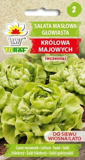 Toraf Nasiona Sałata masłowa KRÓLOWA MAJOWYCH 2g