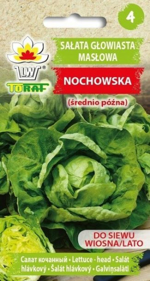 Toraf Nasiona Sałata masłowa Nochowska 1g