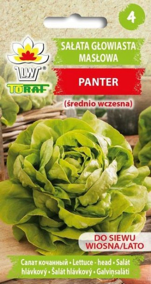 Toraf Nasiona Sałata masłowa PANTER śr. wczesna 1g