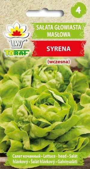 Toraf Nasiona Sałata masłowa SYRENA (wczesna) 1g