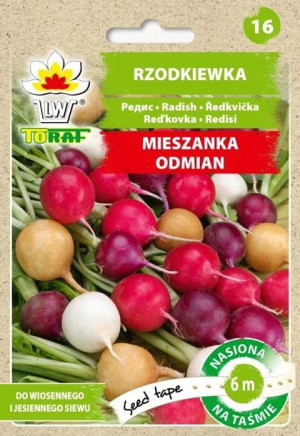 Toraf Nasiona Taśma Rzodkiewka mieszanka odmian 6m