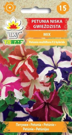 Toraf Nasiona Petunia niska gwieździsta mix