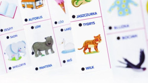 Carotina - zestaw 1000 pytań
