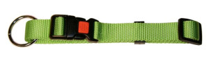 OBROŻA DLA PSA Miami 40-55cm x 20mm, KERBL zielona [82064]