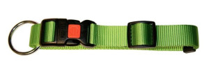 OBROŻA DLA PSA Miami 20-35cm x 10mm, KERBL zielona [82060]