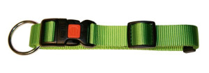 OBROŻA DLA PSA Miami 45-65cm x 25mm, KERBL zielona [82066]