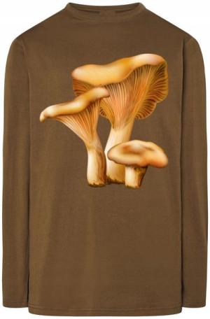 Rydz Grzyby Męska Bluza Longsleeves Rozm.L
