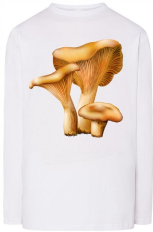 Rydz Grzyby Męska Bluza Longsleeves Rozm.M