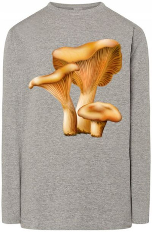 Rydz Grzyby Męska Bluza Longsleeves Rozm.XS