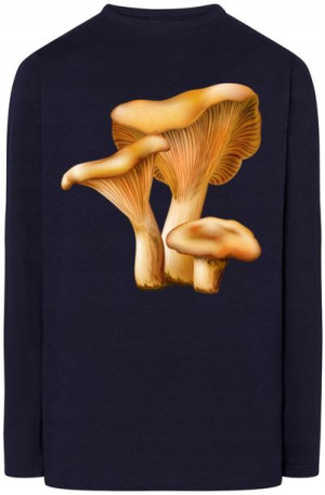 Rydz Grzyby Męska Bluza Longsleeves Rozm.XXL