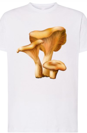 Rydz Grzyby Męski T-Shirt Modny Rozm.5XL
