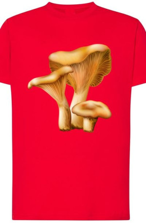 Rydz Grzyby Męski T-Shirt Modny Rozm.L