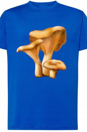 Rydz Grzyby Męski T-Shirt Modny Rozm.S
