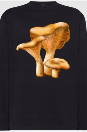 Rydz Grzyby Męska Bluza Longsleeves Rozm.XS