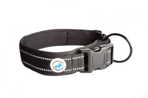 Obroża Dla Psa Black - All For Dogs - L