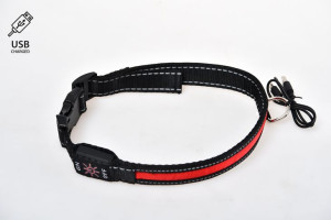 Obroża Dla Psa Led Standard - Petlove - M Czerwona [oledusbmrd]