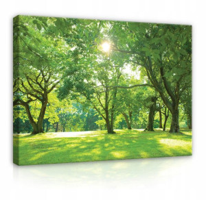 Obraz Na Płótnie DRZEWA ŁĄKA NATURA Duży 120x80