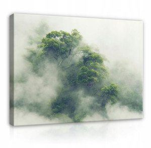 Obraz Na Płótnie LAS WE MGLE Natura Dżungla 100x70