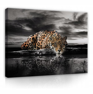 Obraz Na Płótnie TYGRYS JAGUAR GEPARD Duży 120x80