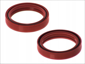 Uszczelniacze 4 RIDE AB55-123 43/55/9,5/10 mm 2szt