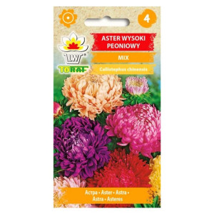 Aster peoniowy wysoki MIX mieszanka kolorów duże kwiaty - nasiona 1 g - Tor