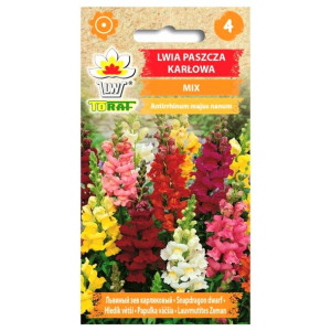 Lwia paszcza karłowa mix kolorów - nasiona 0,5 gr - Toraf