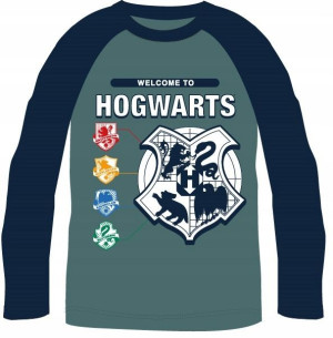 Koszulka Tshirt Bluzka Harry Potter Dł Rękaw 152
