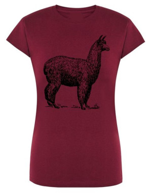 T-Shirt damski nadruk Zwierzę ALPAKA r.M