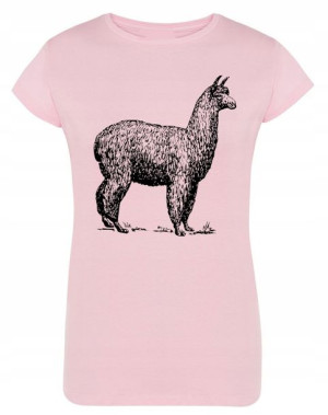 T-Shirt damski nadruk Zwierzę ALPAKA r.M