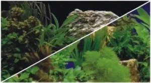 Hobby Tło akwariowe dwustronne 30cm-25m wzór 122